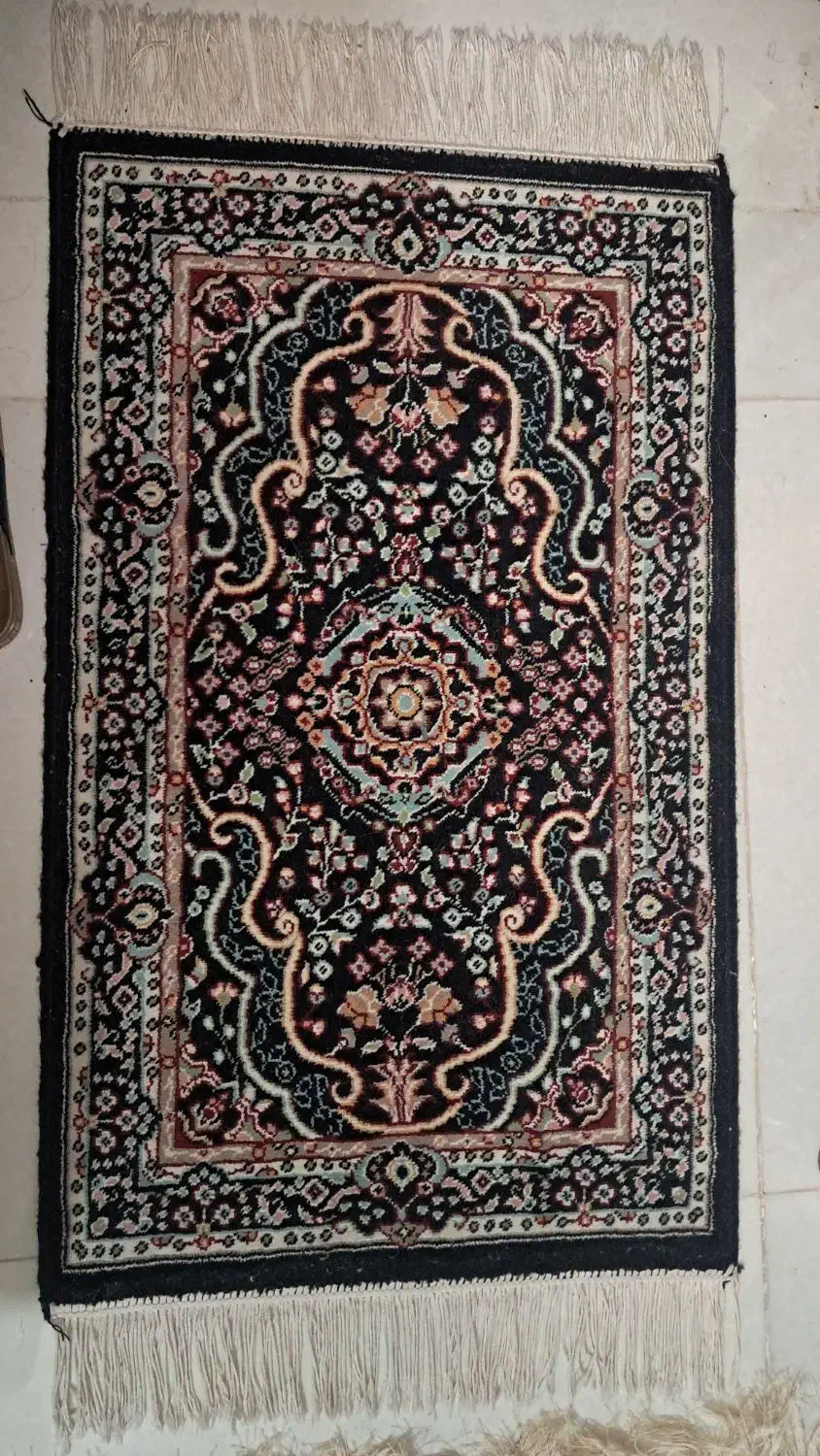 پادری ۵۰۰ شانه|پادری|زابل, |دیوار