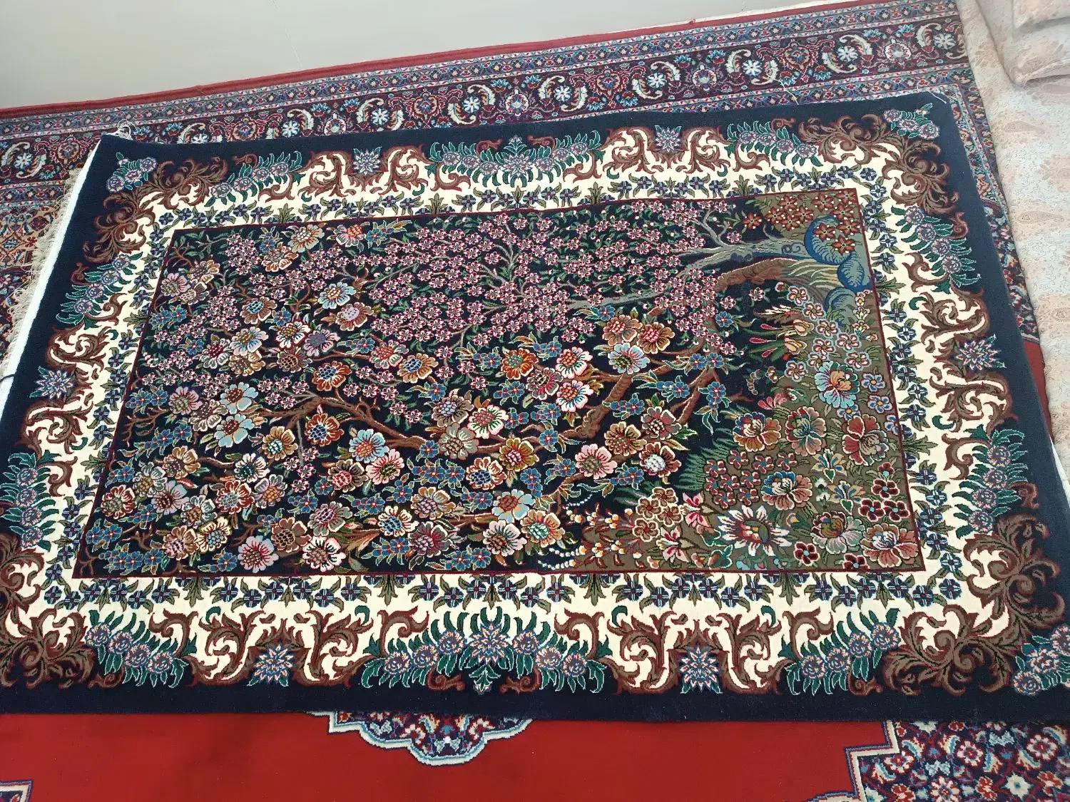 فرش دستباف مرتب تمیز درجه یک|فرش|داراب, |دیوار