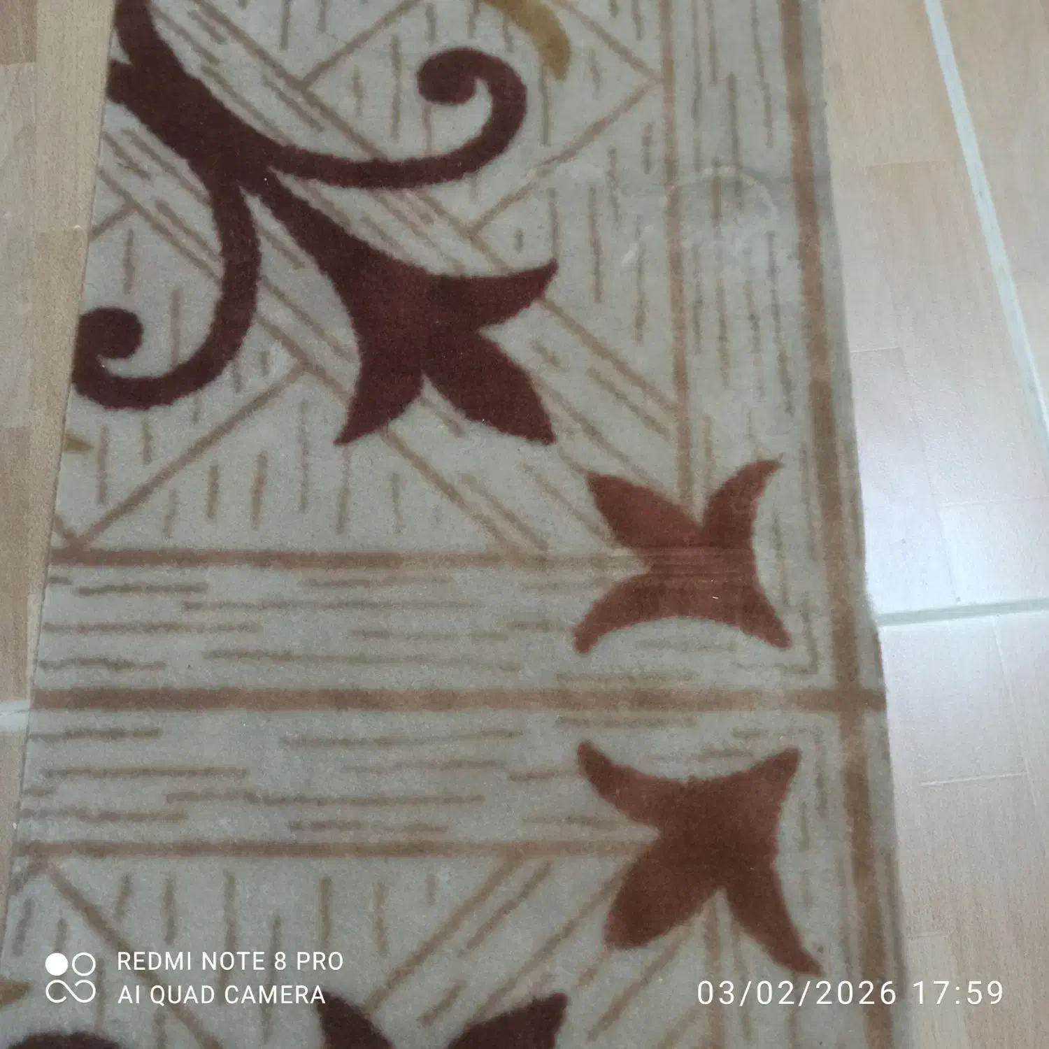 موکت تمیز|موکت|شاهرود, |دیوار