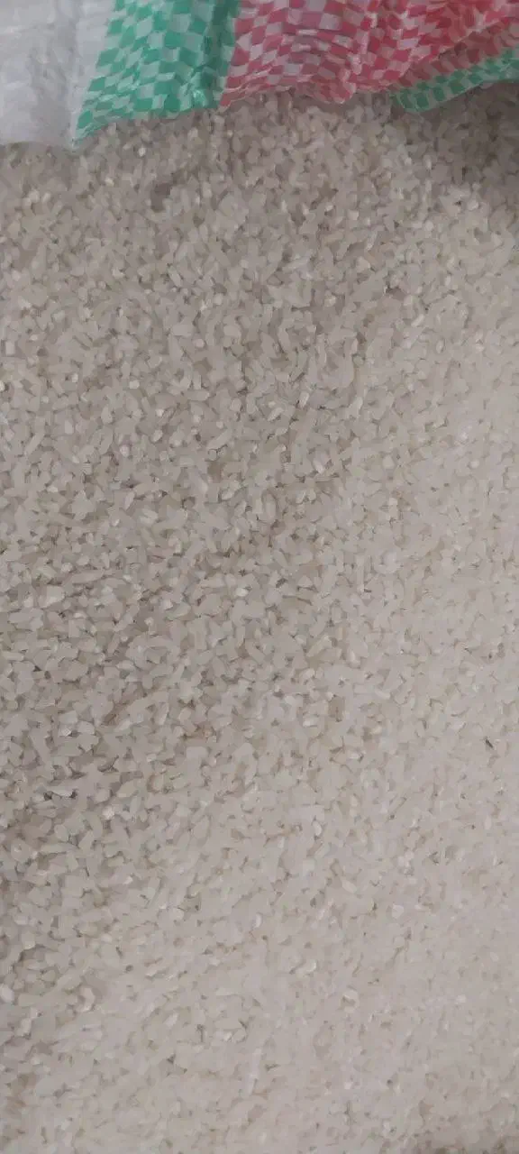 برنج هاشمی|حراج|لاهیجان, لفمجان|دیوار