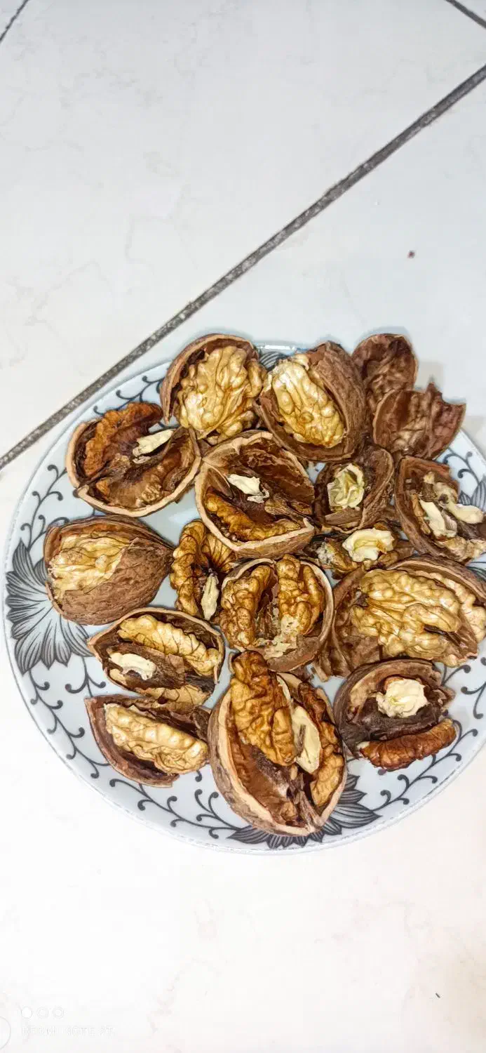 گردو|خوردنی و آشامیدنی|تهران, خاک سفید|دیوار