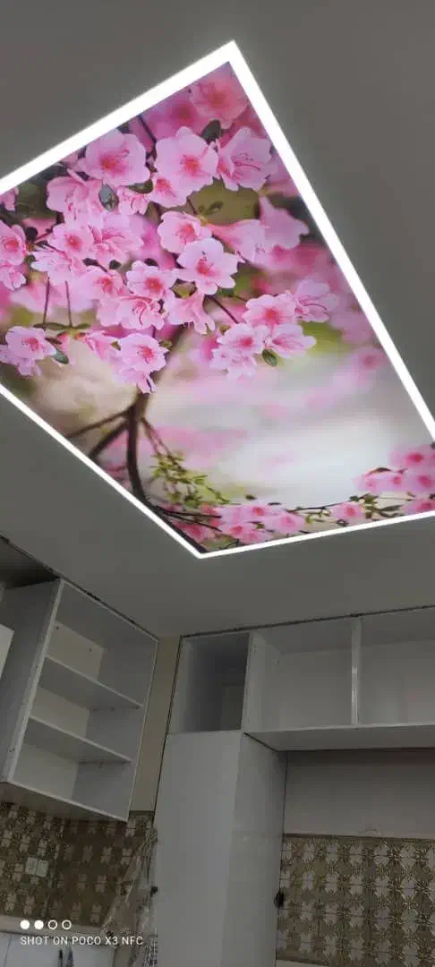 اصفهان دکور. اجرای سقف کشسان ولاین نوری و...|خدمات پیشه و مهارت|آستانه اشرفیه, |دیوار