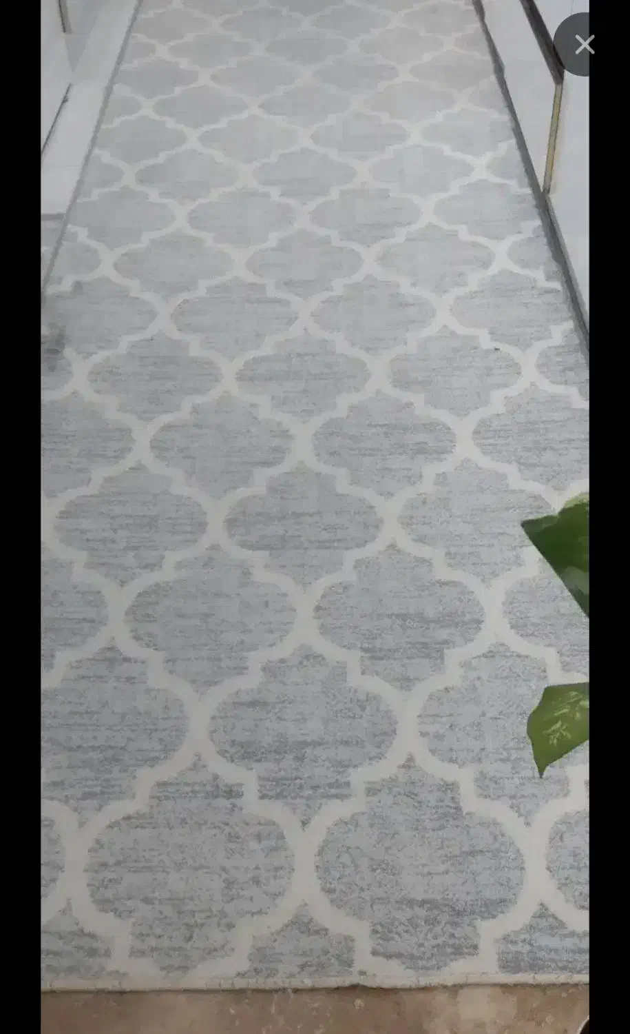 فرش کناره|فرش|قم, ولیعصر|دیوار