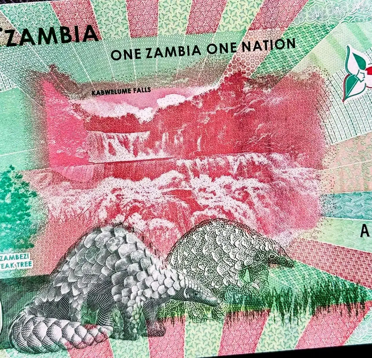 اسکناس کواچای زامبیا|کلکسیون سکه، تمبر، اسکناس|تبریز, |دیوار