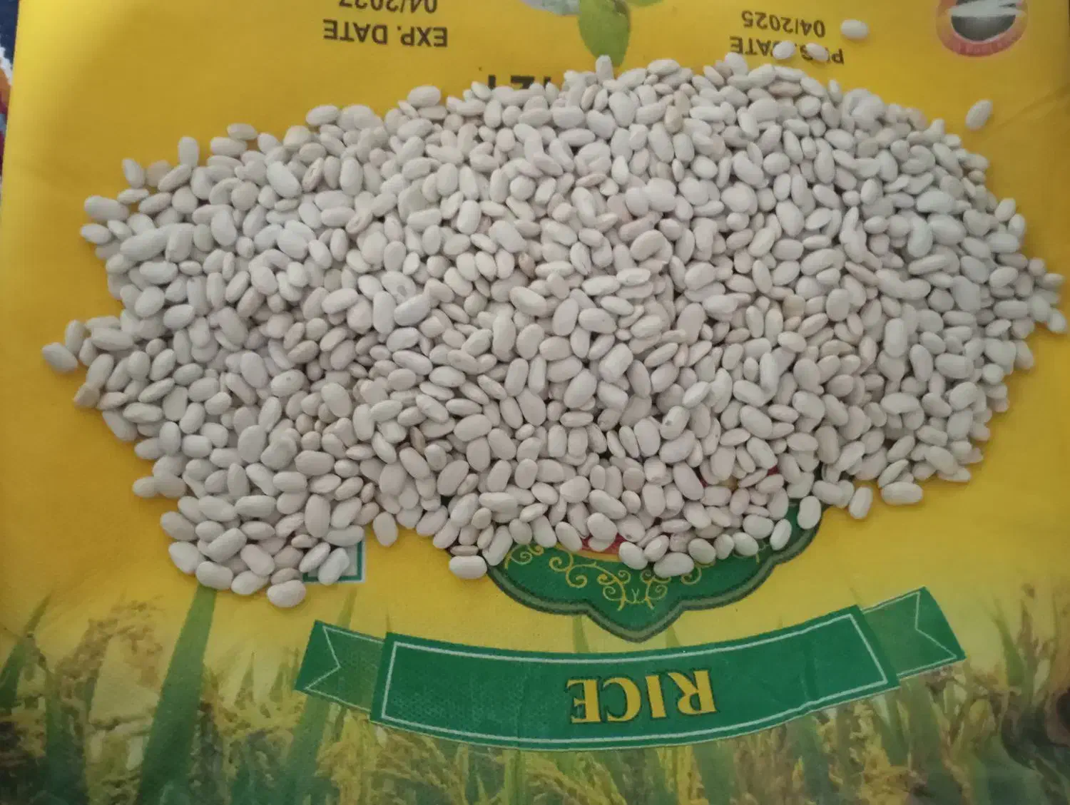 لوبیا سفید|گل و گیاه طبیعی|دینور, |دیوار