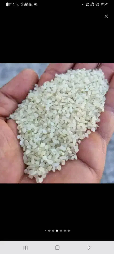 برنج کامفیروزی|خوردنی و آشامیدنی|کر, |دیوار