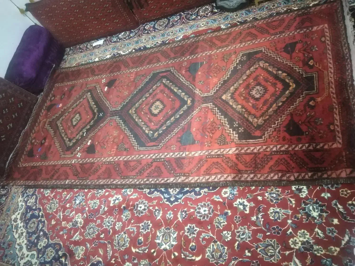 فرش دستباف سالم|فرش|بیرجند, |دیوار