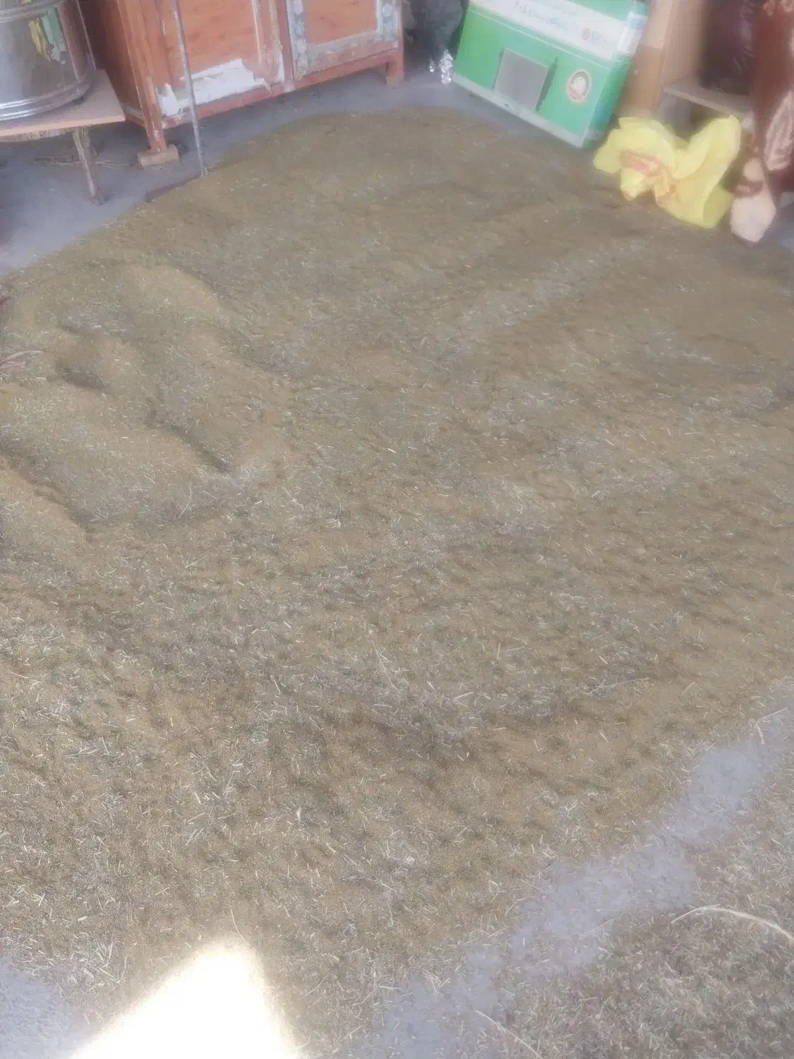 بذریونچه|خدمات باغبانی و درختکاری|هریس, |دیوار