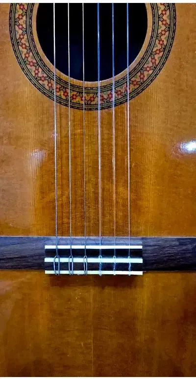 گیتار c40اصلی|گیتار، بیس، امپلیفایر|قم, بنیاد|دیوار