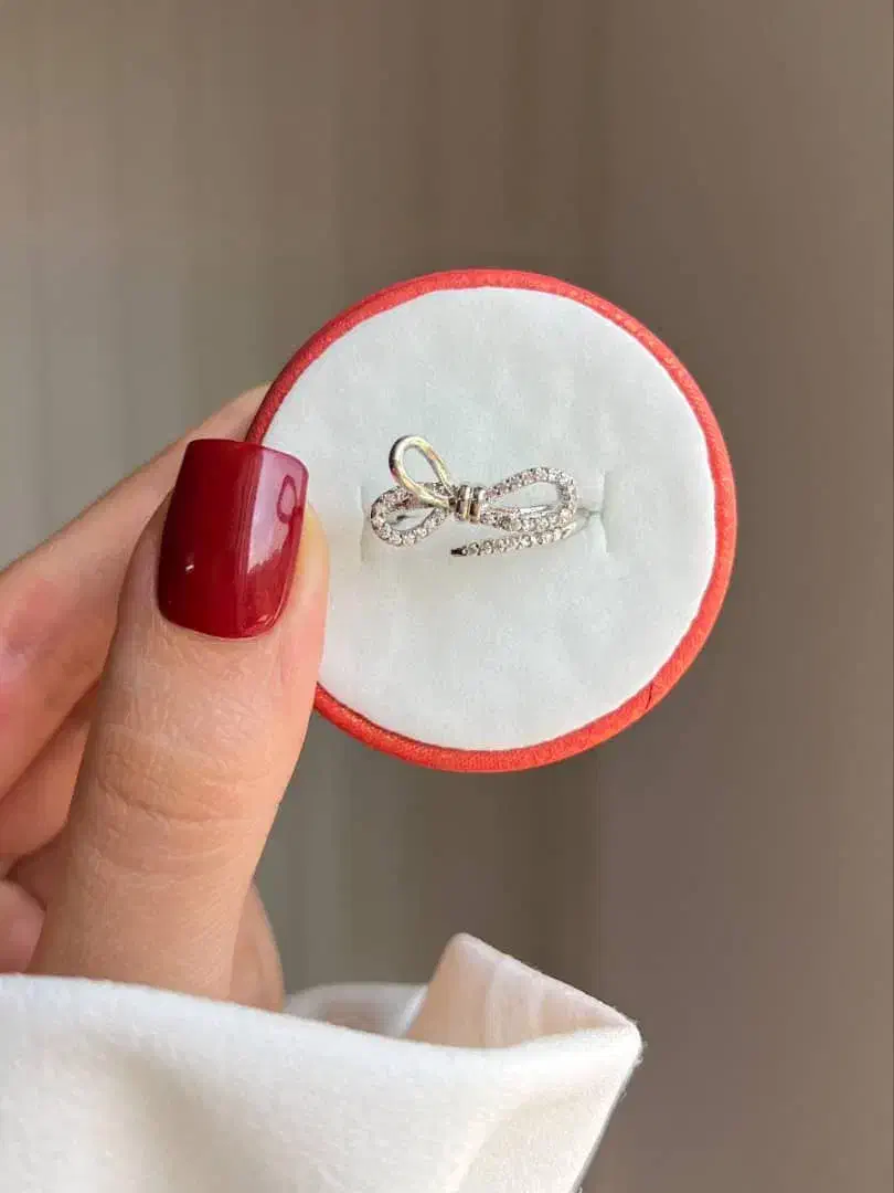 انگشتر استیل پاپیونی|بدلیجات|شیراز, آزادگان|دیوار