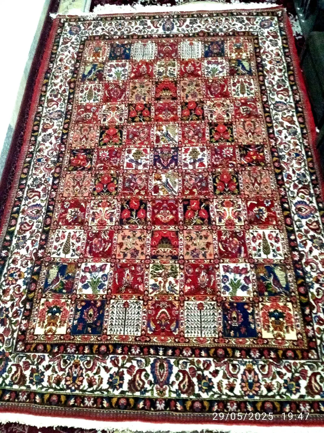 قالی چالشتری جهادی|فرش|بن, |دیوار