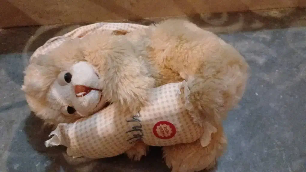 عروسک های سالم|اسباب‌بازی بچه|گرگان, |دیوار