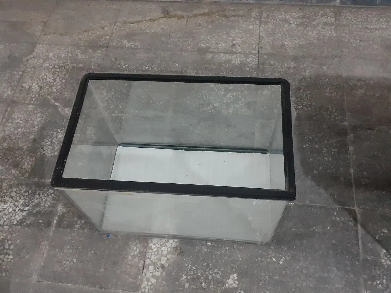 شیشه ی آکواریوم|ماهی|تهران, کاج|دیوار