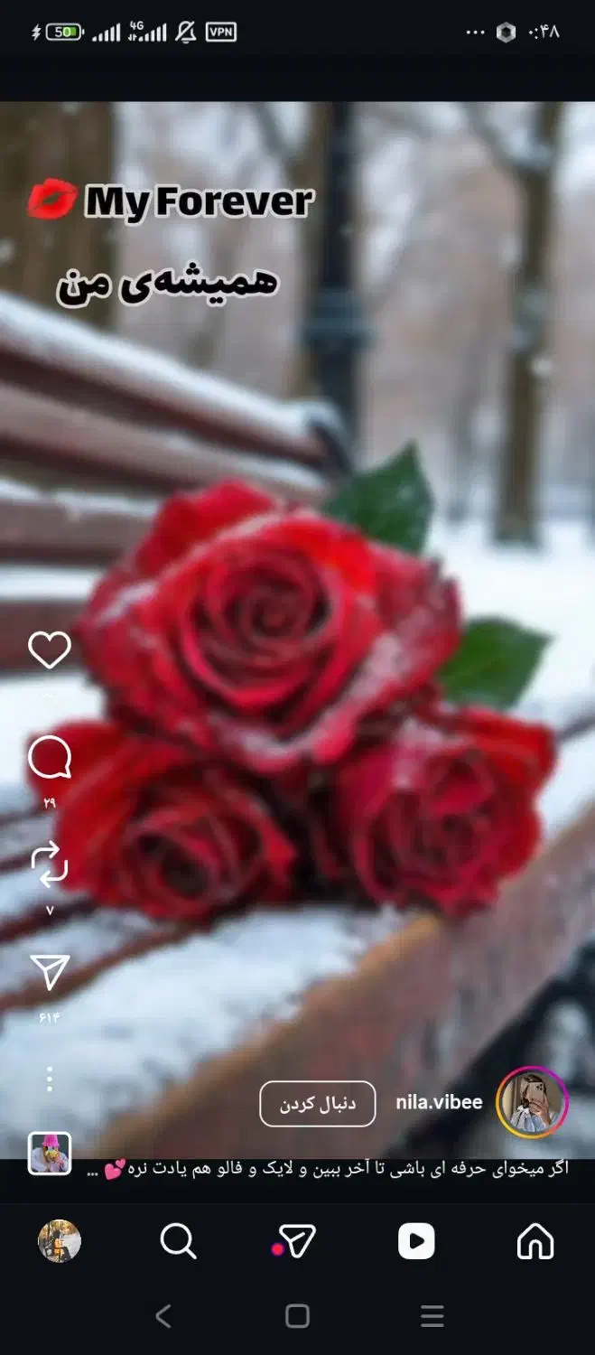 گمشده|اشیا|تربت جام, معدآباد|دیوار