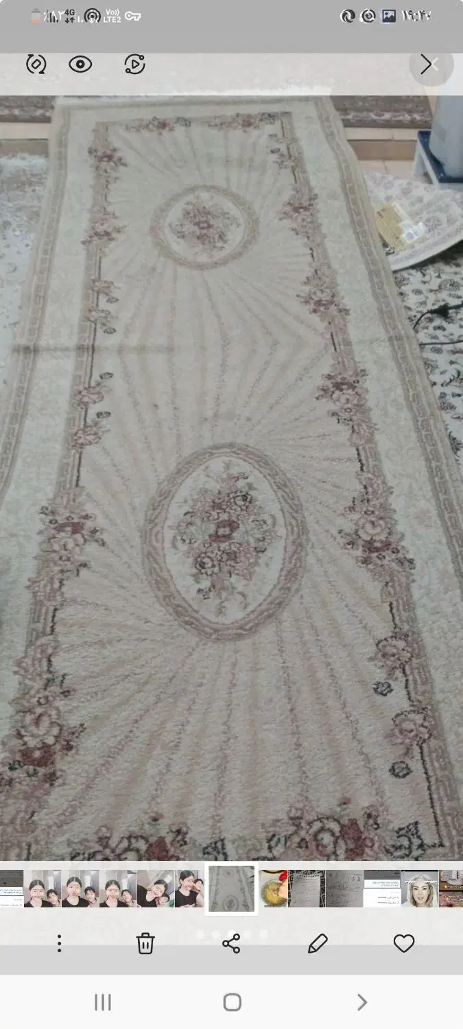 فرش|فرش|بندرعباس, |دیوار