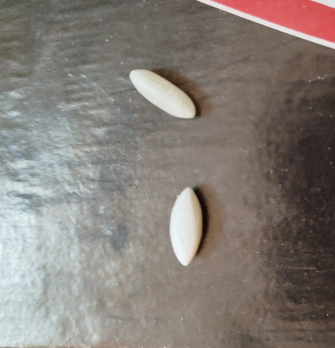 مهره دانه برنجی کمیاب|کلکسیون اشیاء عتیقه|شیراز, شهرک رضوان|دیوار