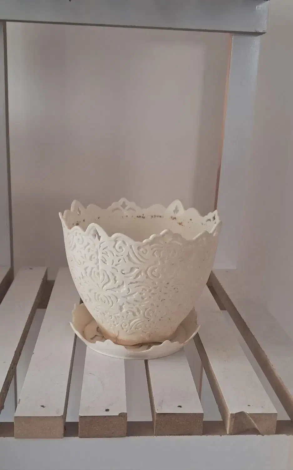 گلدان سرامیکی|گل و گیاه طبیعی|بیرجند, |دیوار