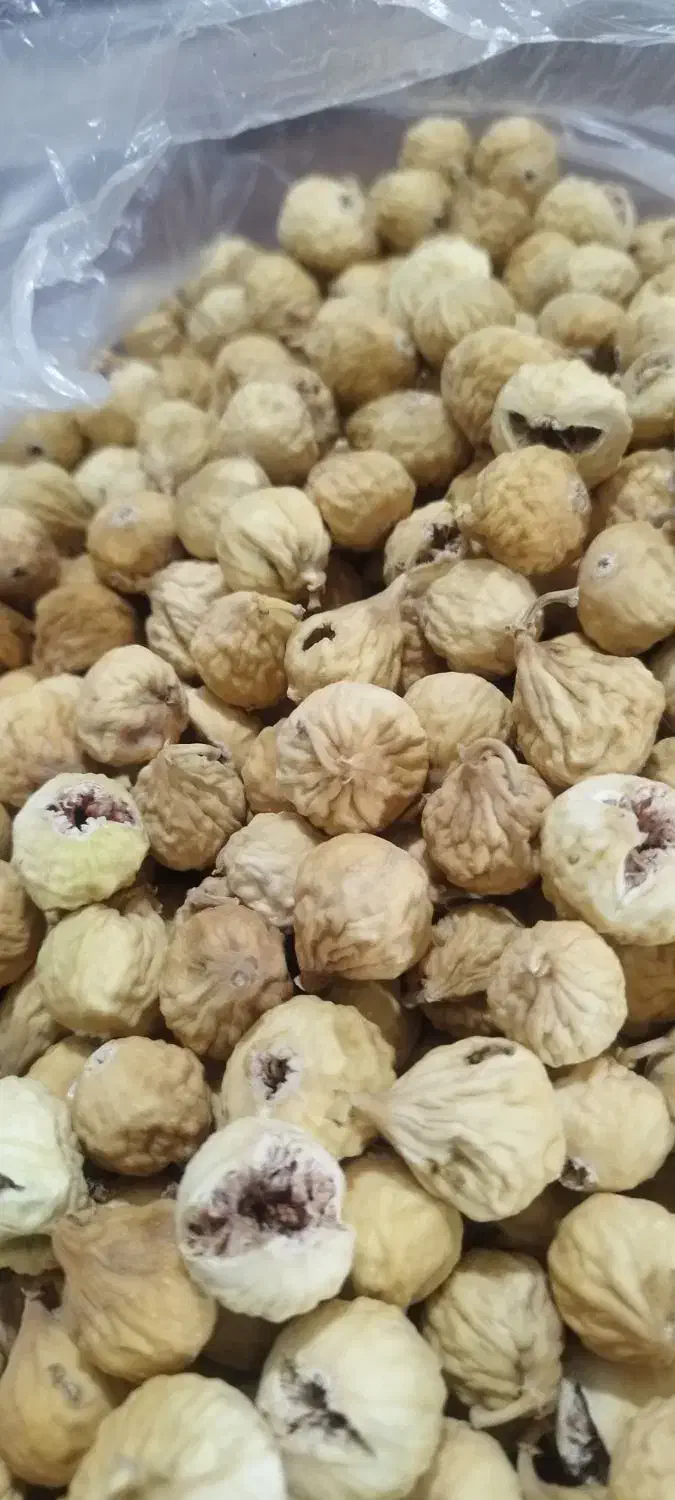 انجیر|خوردنی و آشامیدنی|شیراز, قلعه نو|دیوار