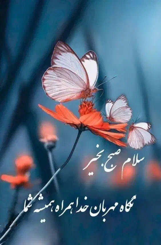 نیازمند وام جانبازی ثبت نام شده ثبت نام نشده|فعالیت داوطلبانه|شیراز, کوی زهرا|دیوار