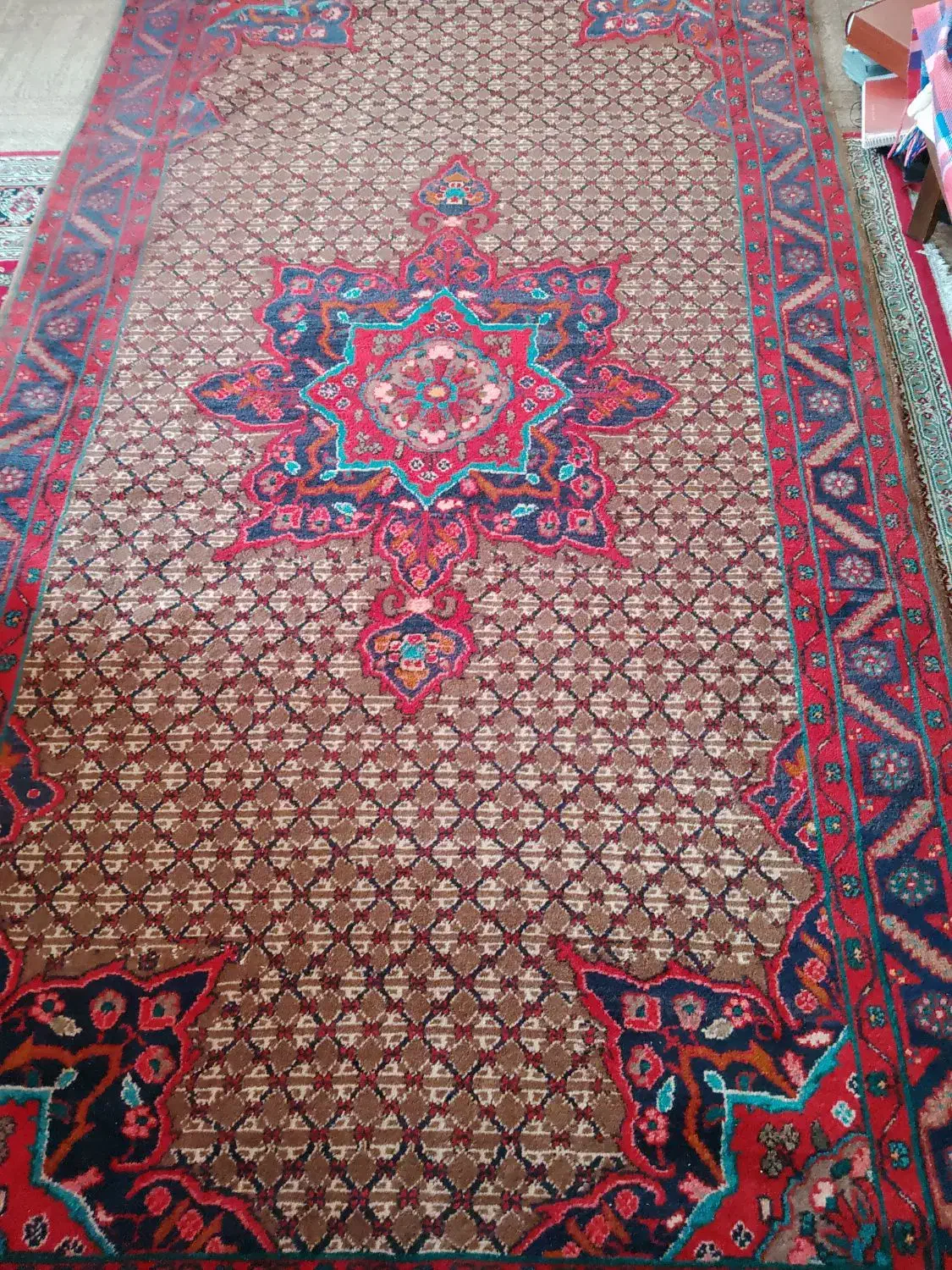 فرش دستبافت|فرش|تهران, قلهک|دیوار