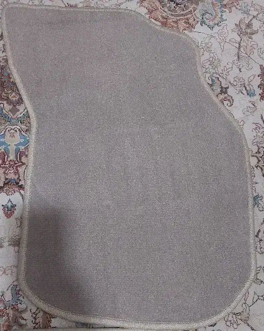 کف پایی پروتون ایمپبن|قطعات یدکی و لوازم جانبی|تهران, حشمتیه|دیوار