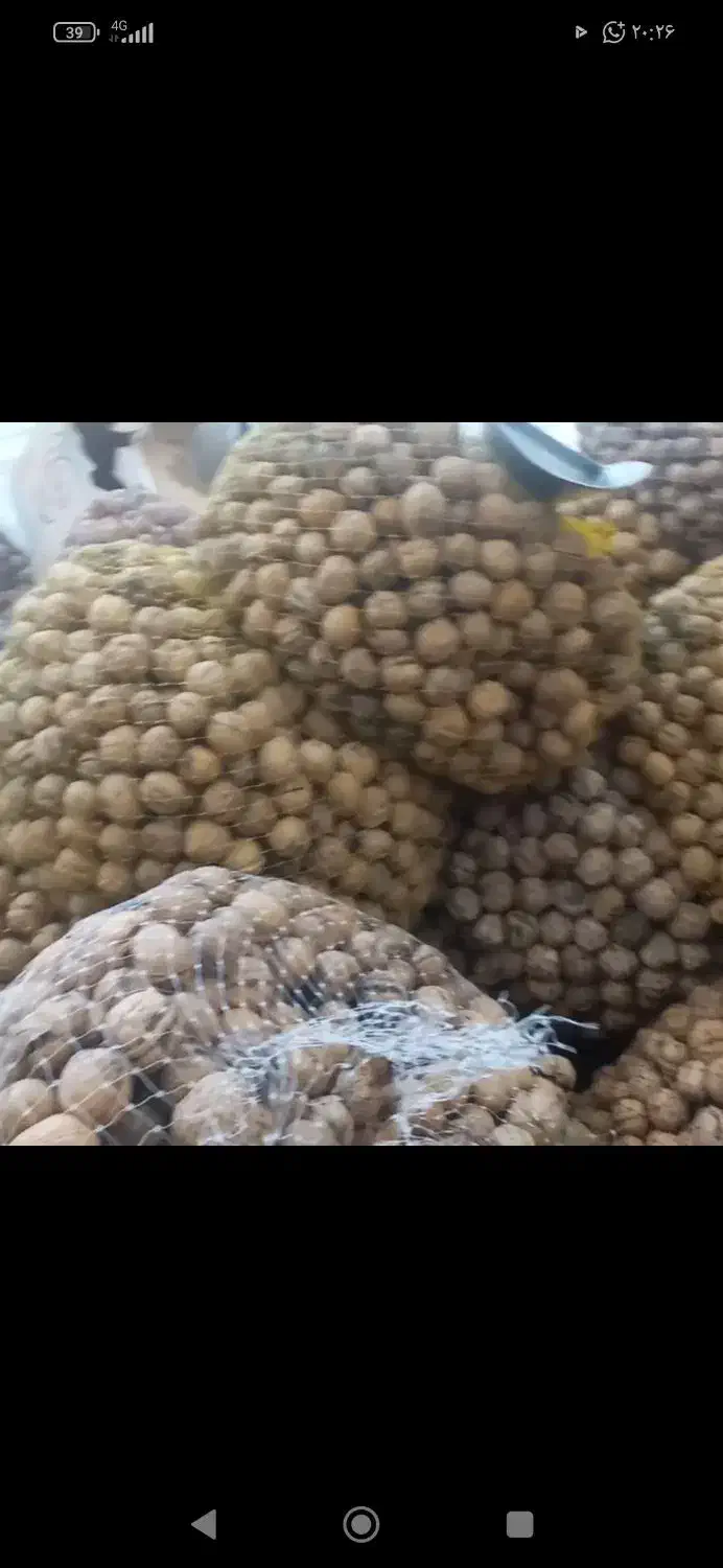 گردو|خوردنی و آشامیدنی|جم, |دیوار