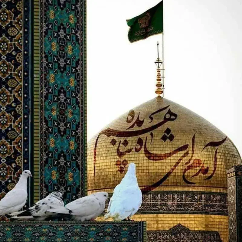 نذر|فعالیت داوطلبانه|تهران, بهار|دیوار