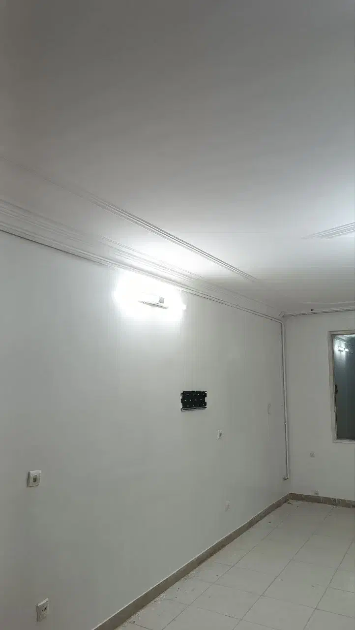 گچ کاری و لکه گیری ، نقاشی و رنگ آمیزی ساختمان|خدمات پیشه و مهارت|بیرجند, |دیوار