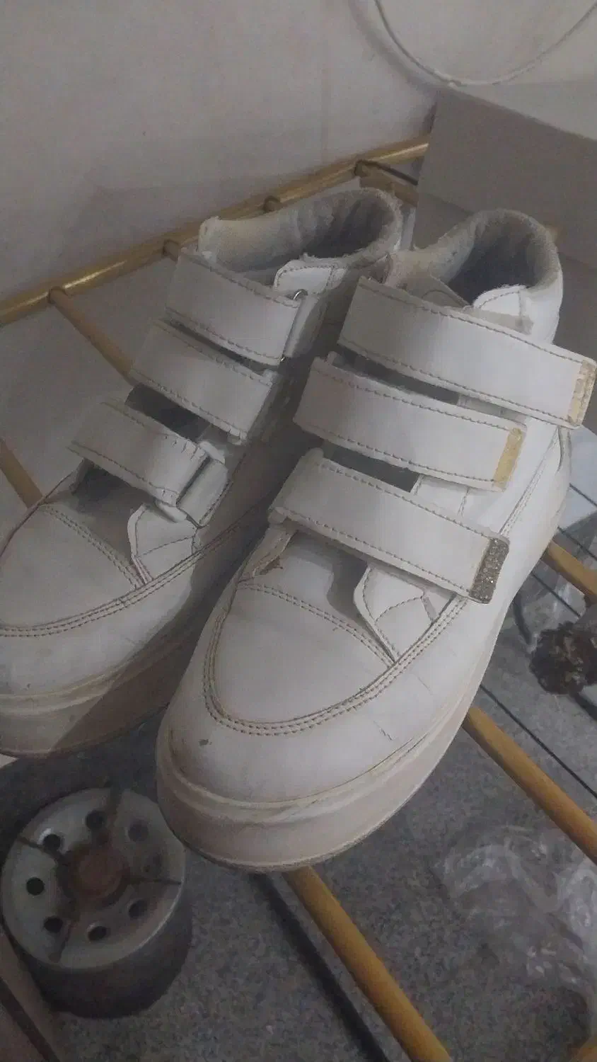 کفش|کیف، کفش، کمربند|اراک, |دیوار