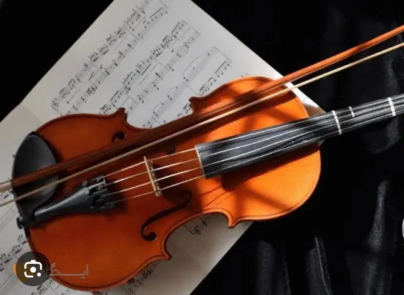 ویولن و گیتار|ویولن|شهرکرد, |دیوار