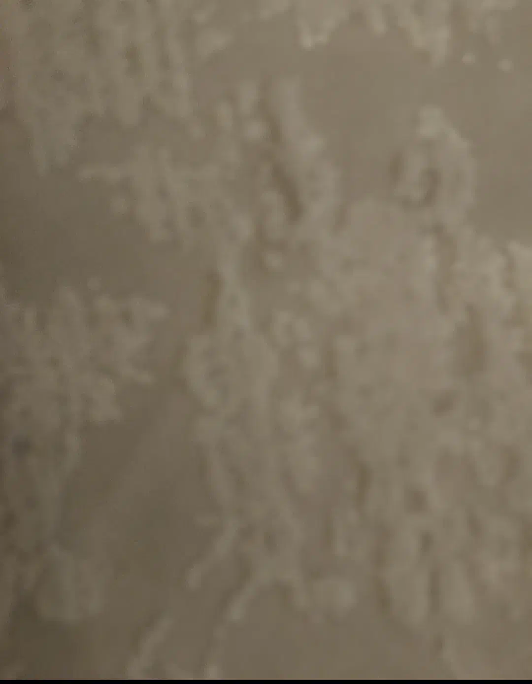 نیازمندضتمن کارمند،کارمندبازنشسته|فعالیت داوطلبانه|رشت, منظریه|دیوار