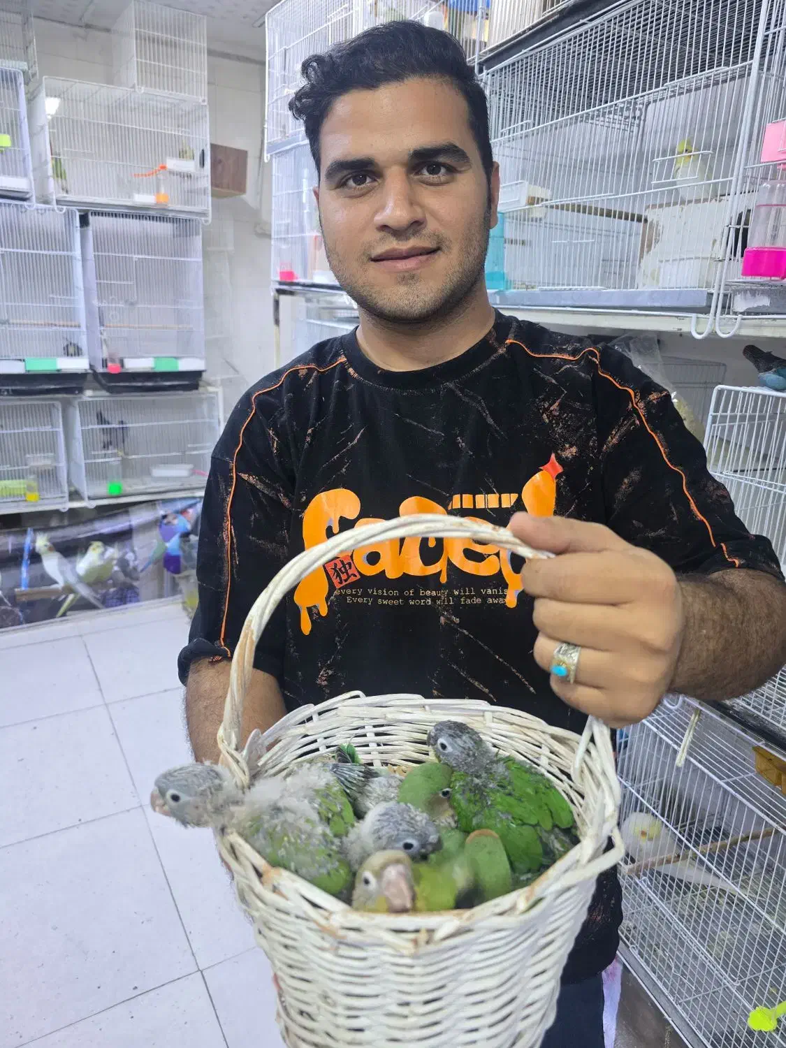 خرید و فروش گرینچیک|پرنده|نیشابور, فردوسی جنوبی|دیوار