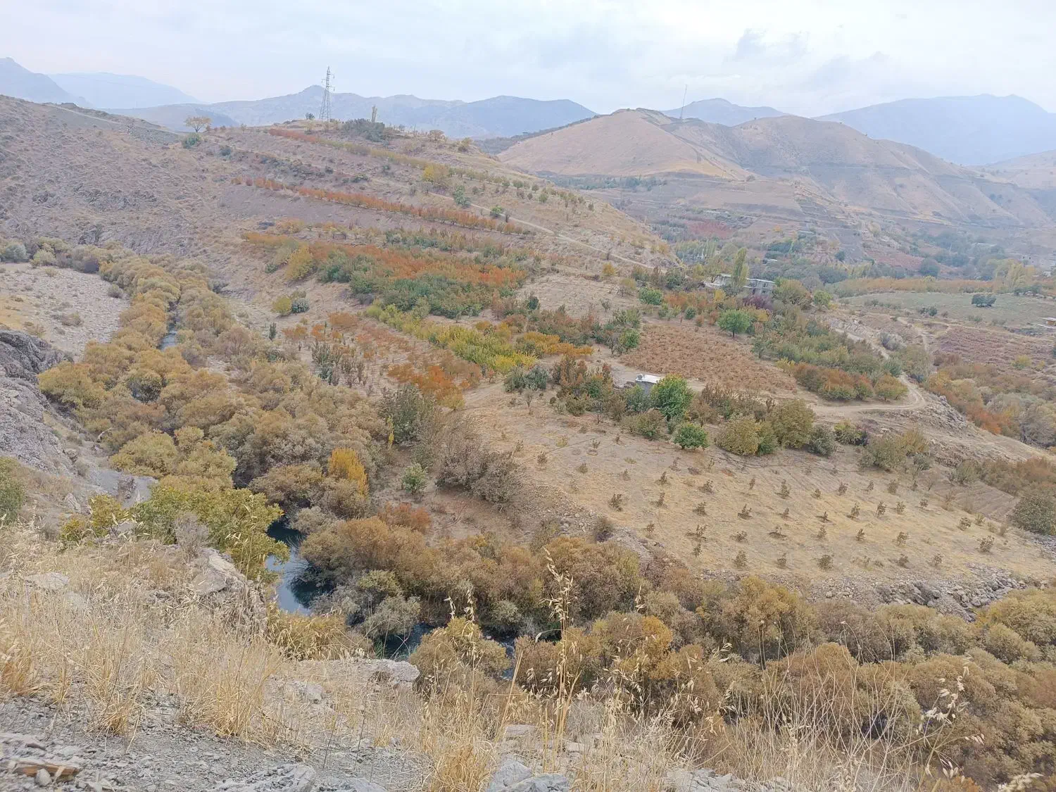 باغ|فروش زمین و ملک کلنگی|موچش, |دیوار