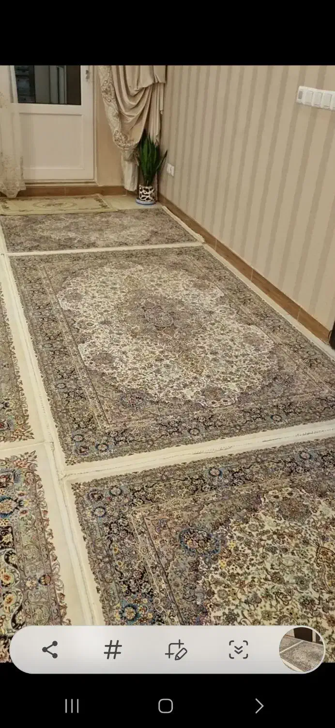 قالی سلیمان به تعداد ۶ تخته|فرش|زنجان, |دیوار