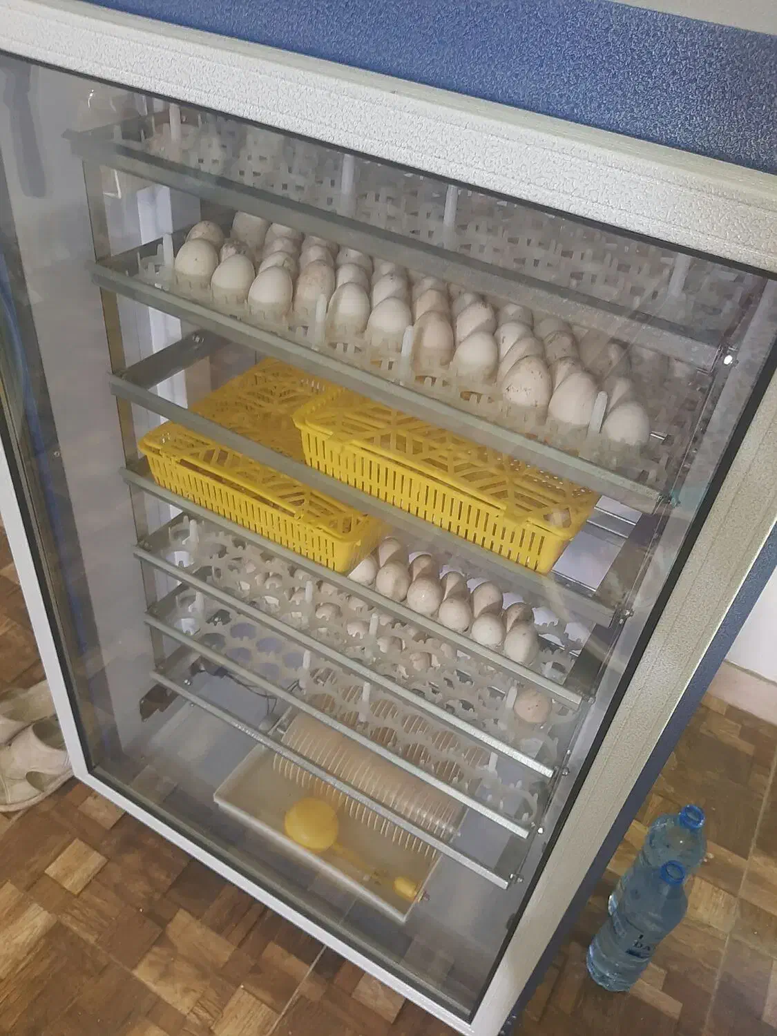 دستگاه ۵۸۸ تایی جوجه کشی دماوند|فروشگاه و مغازه|رشت, گیل|دیوار