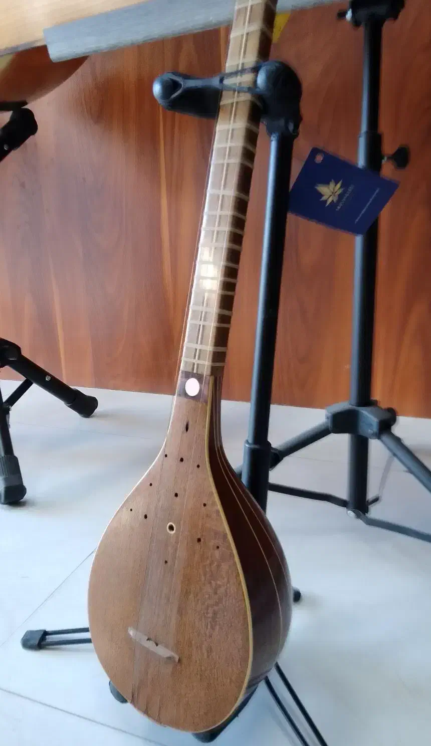 سه تار دست ساز بوریایی|سازهای سنتی|مشکیندشت, |دیوار