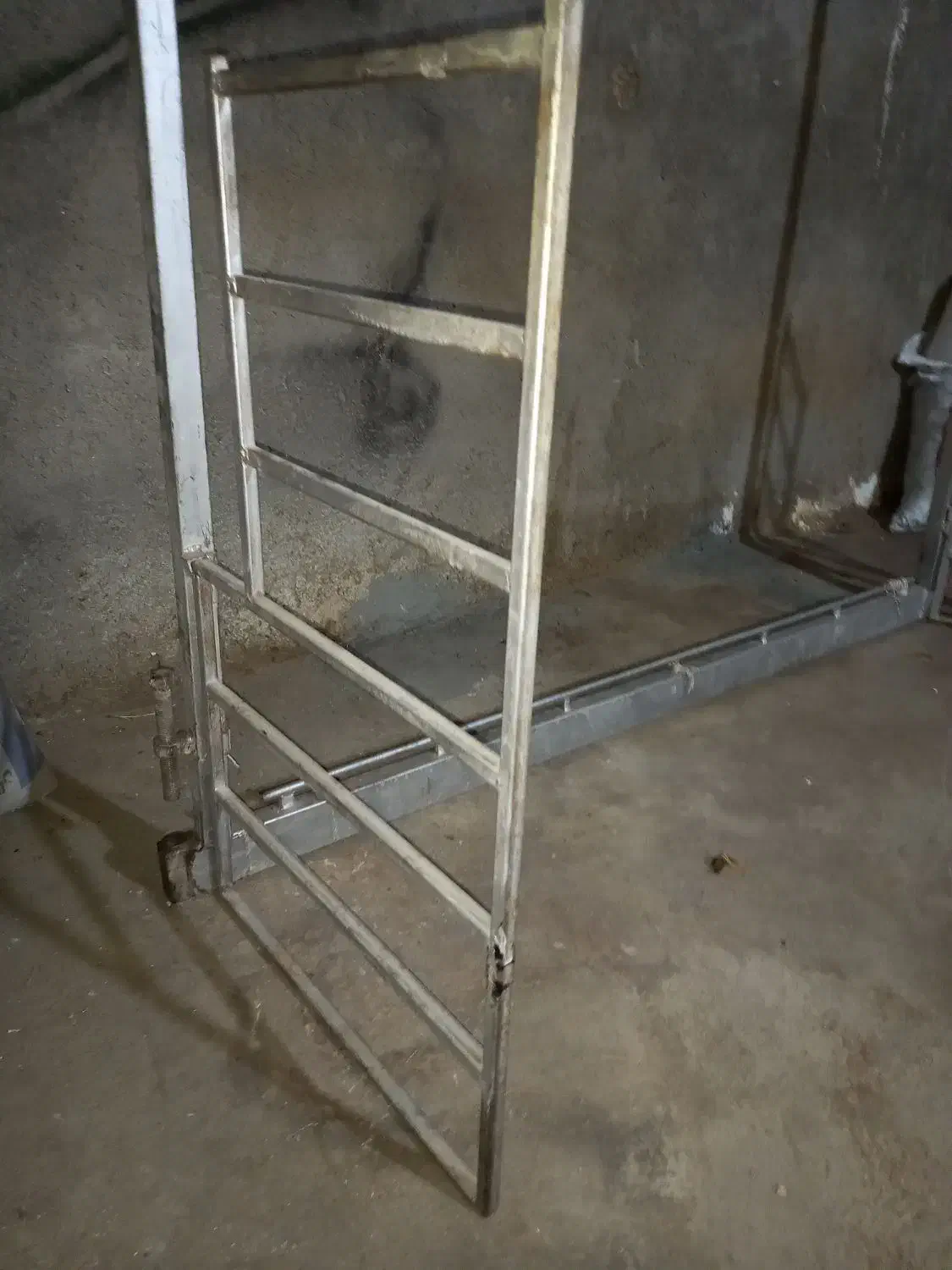 دار قالی|فرش|بروجرد, |دیوار