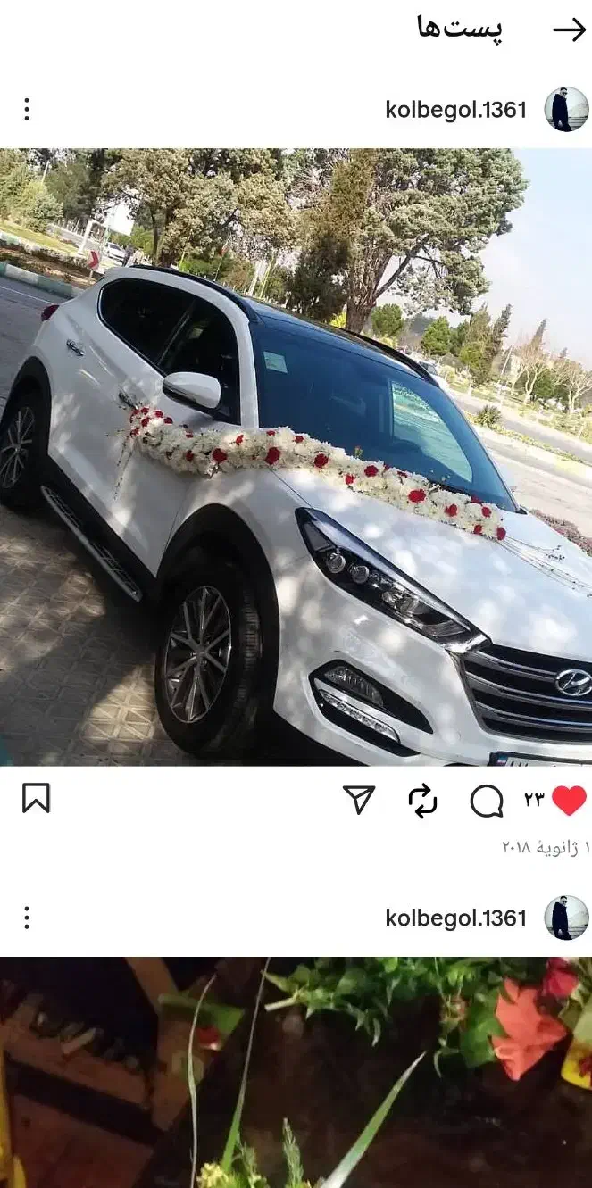 گل وگیاه لاکچری، کیفیت بالا، قیمت مناسب|گل و گیاه طبیعی|لنجان, |دیوار