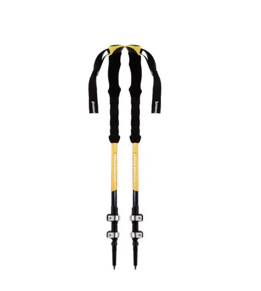 باتوم( عصای کوهنوردی)|کوهنوردی و کمپینگ|اصفهان, رسالت|دیوار