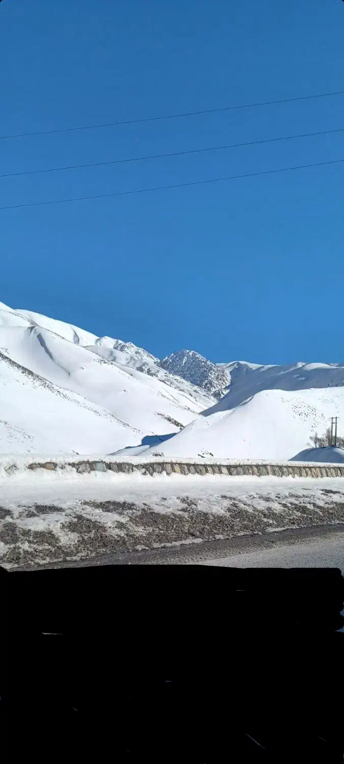 همخونه موجه میخوام|اجارهٔ آپارتمان|هشتگرد, فاز ۷ مهستان|دیوار