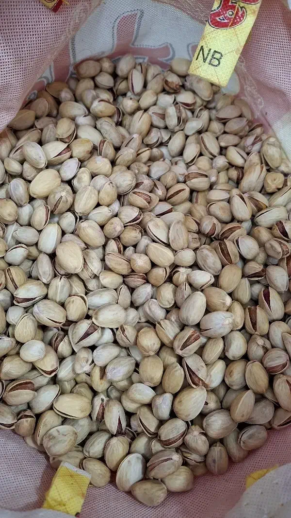 پسته کله قوچی|خوردنی و آشامیدنی|تهران, جوادیه تهرانپارس|دیوار