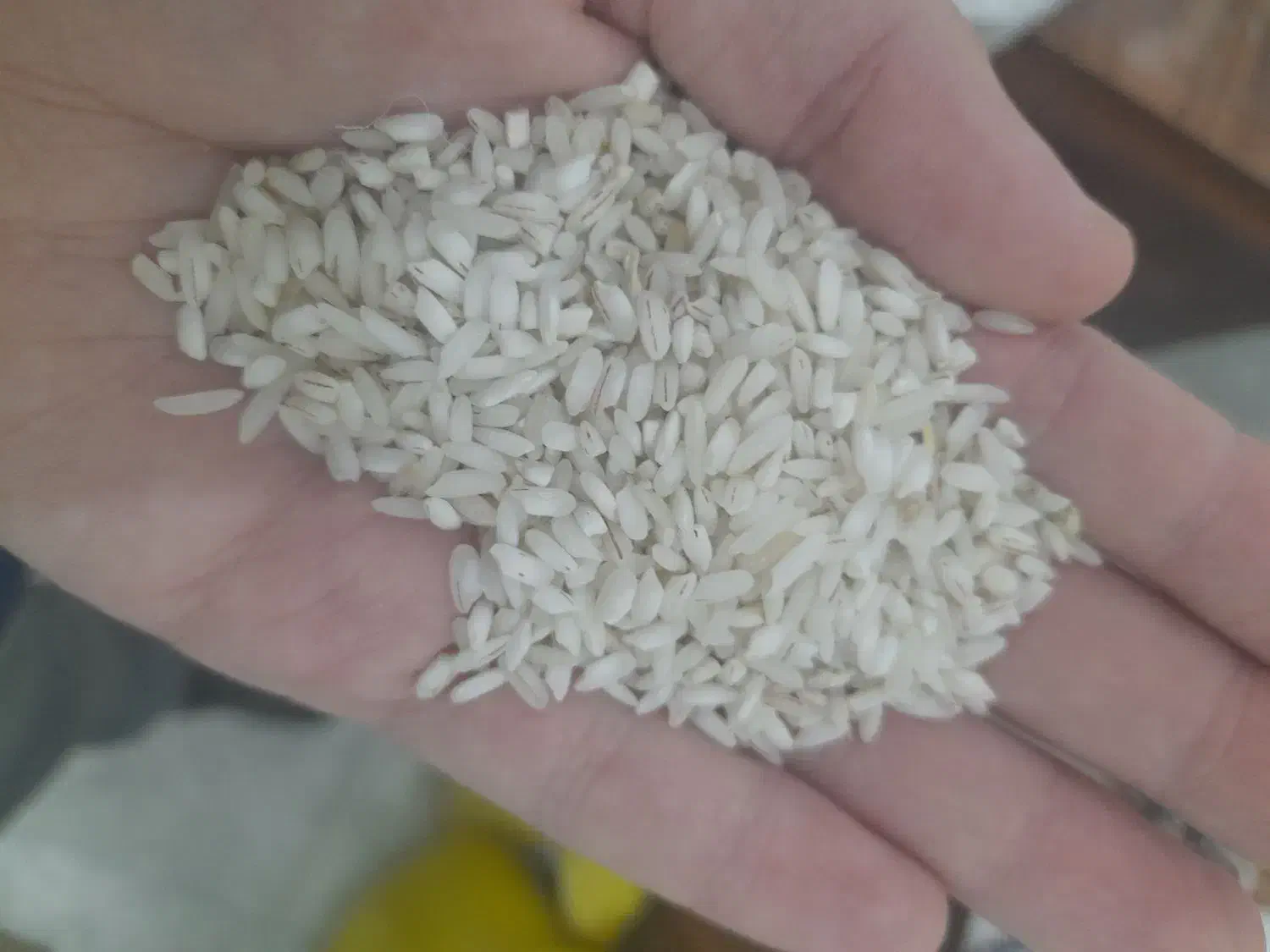 برنج عنبربو به قیمت قدیم شارژ شد|خوردنی و آشامیدنی|کرمانشاه, |دیوار