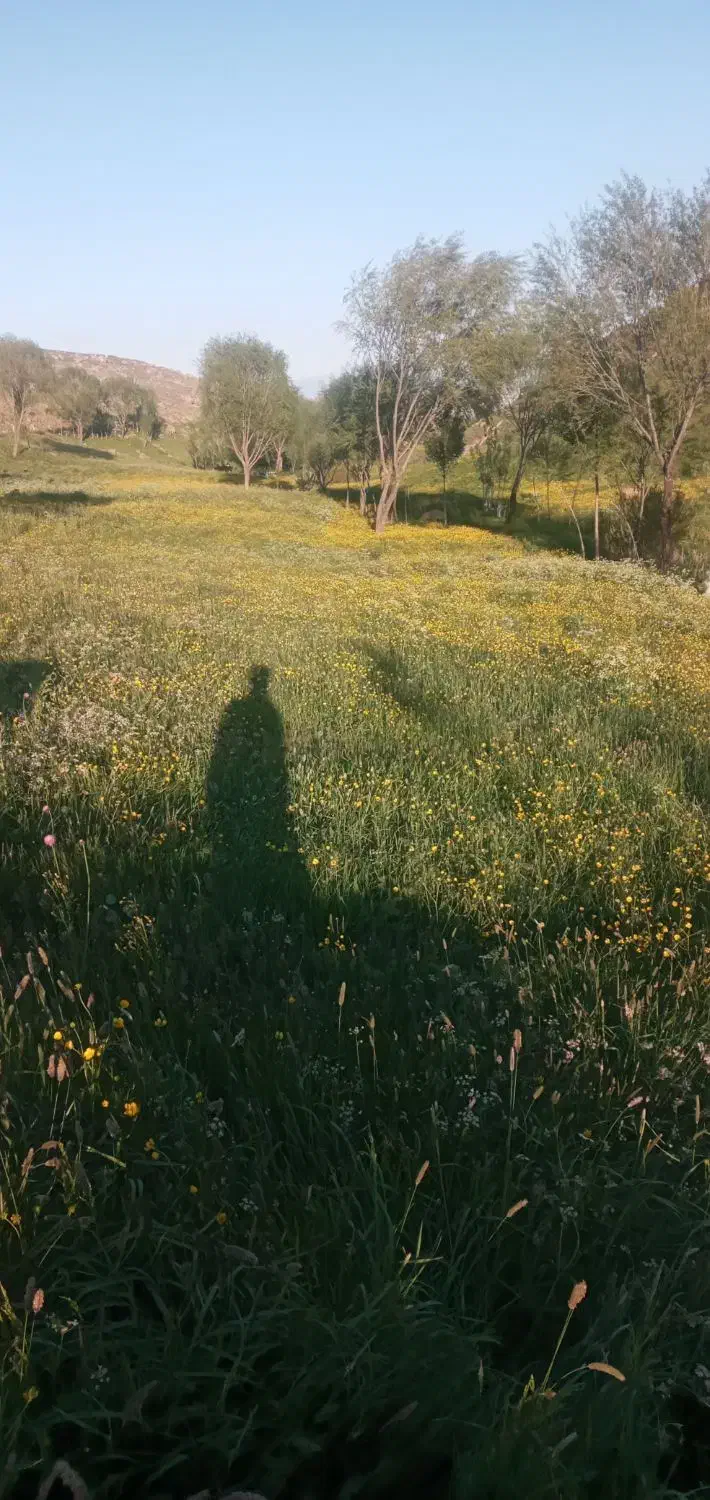 نیاز به راهنمایی دارم|فعالیت داوطلبانه|پردیس, فاز ۵|دیوار