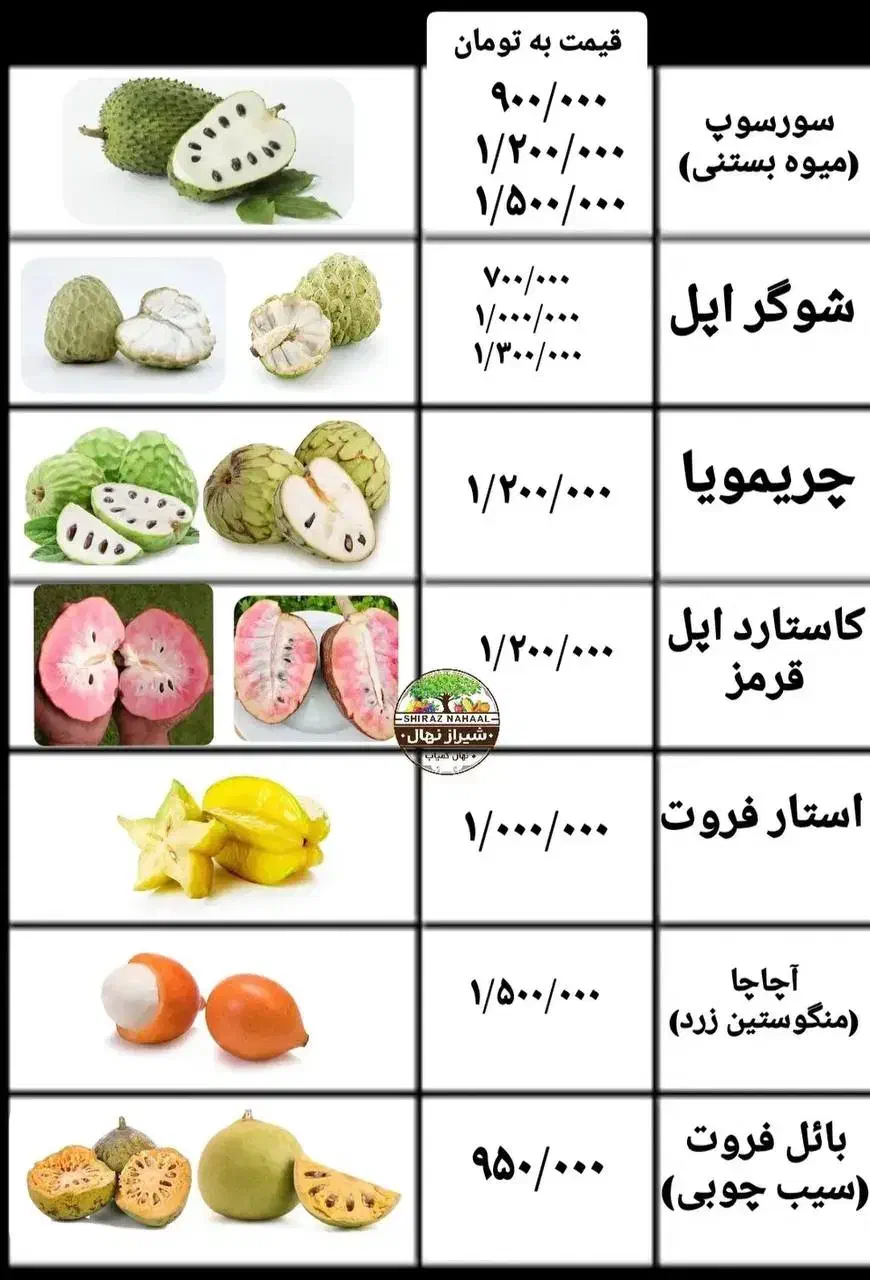 نهال پشن فروت و گواوا و انبه و موز و انواع استوایی|گل و گیاه طبیعی|ساری, |دیوار