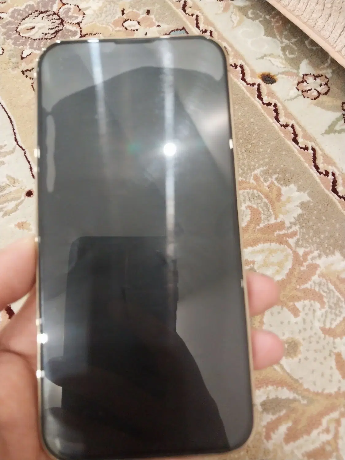 آیفون 13max|موبایل|تهران, ویلاشهر|دیوار