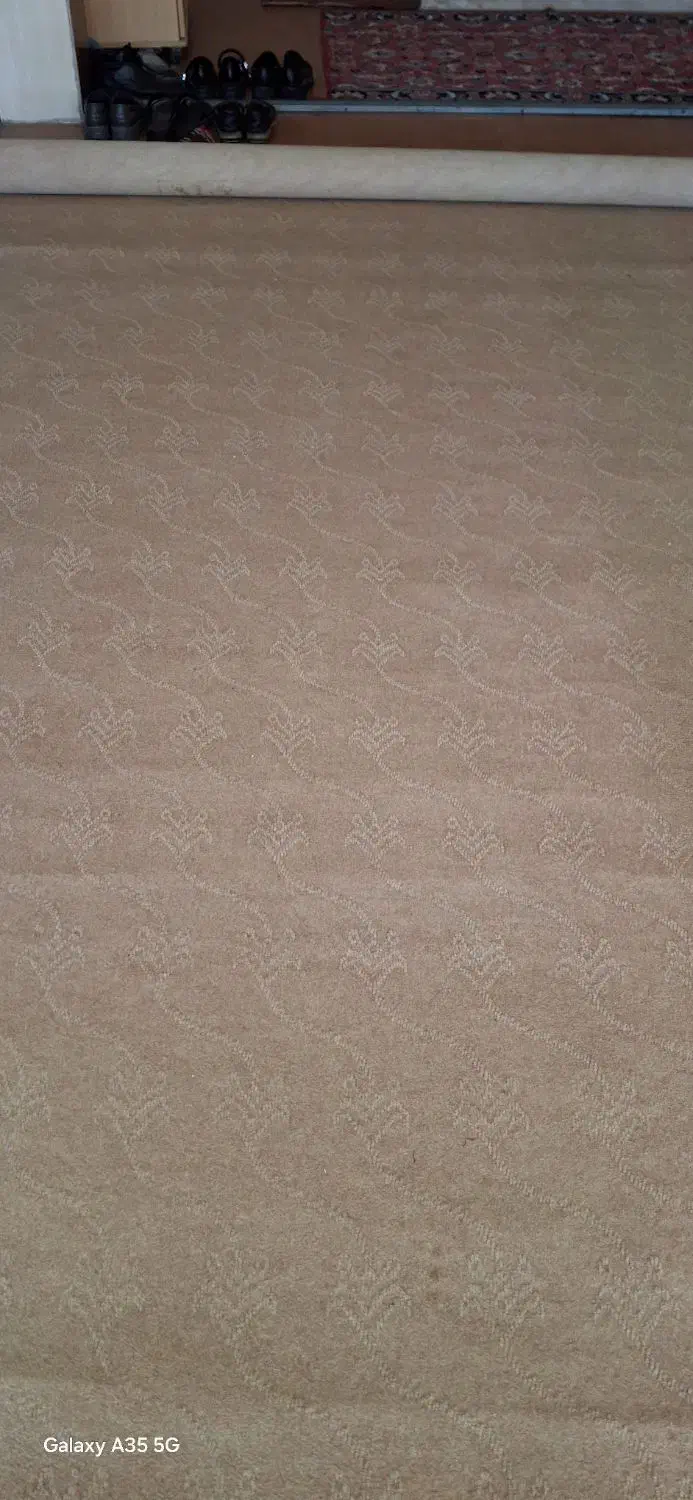 موکت ظریف مصور|موکت|اردبیل, |دیوار