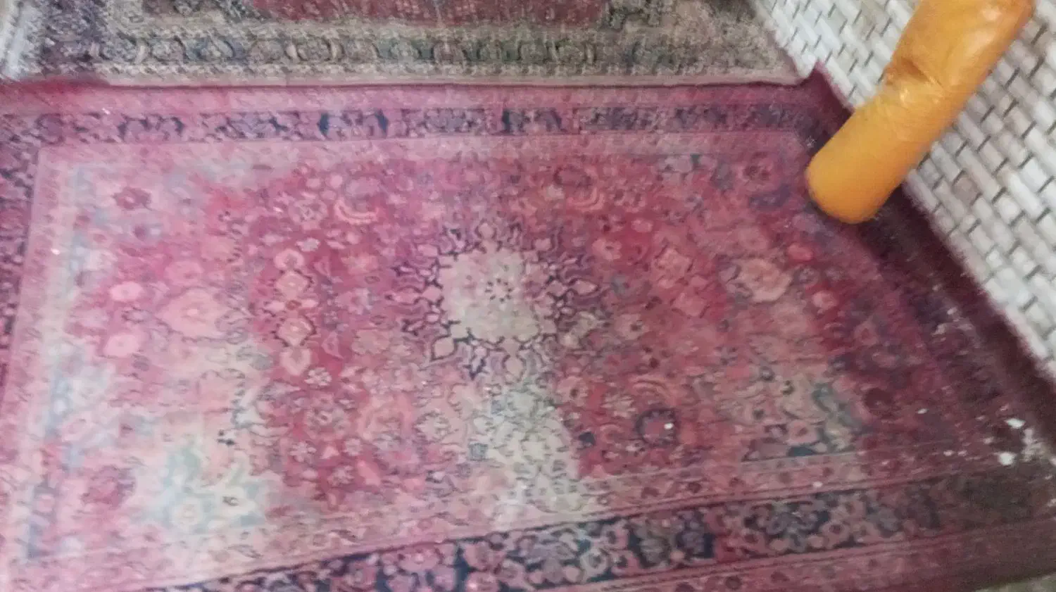 فرش دستباف|فرش|طبس, |دیوار