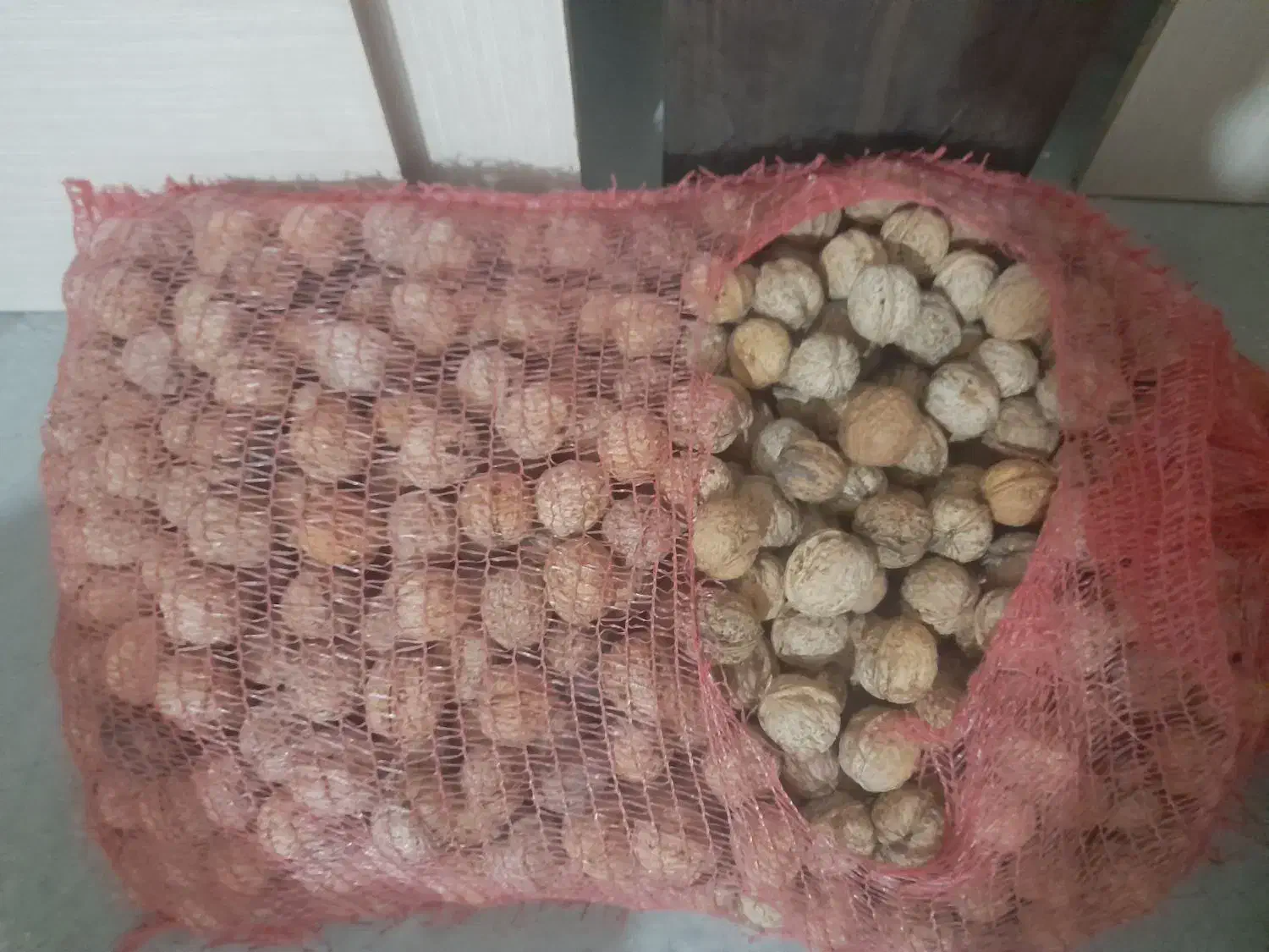 گردو کاغذی|خوردنی و آشامیدنی|مشهد, شهید علی محمدی|دیوار