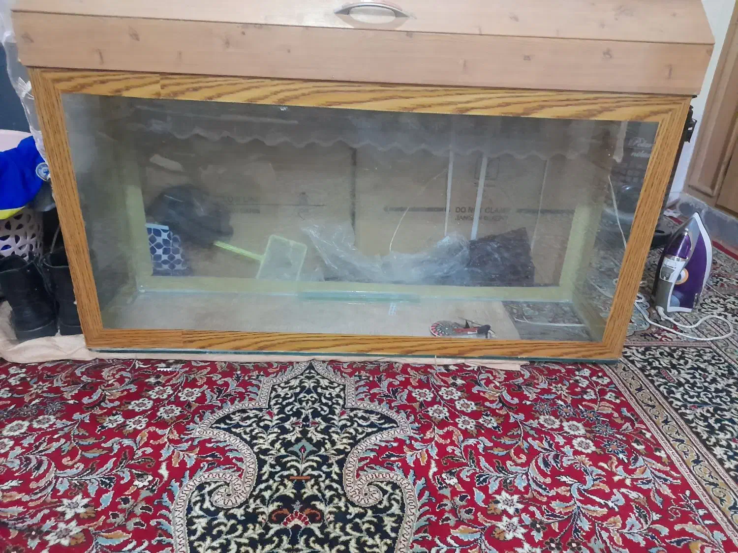 آکواریوم|ماهی|دوگنبدان, |دیوار