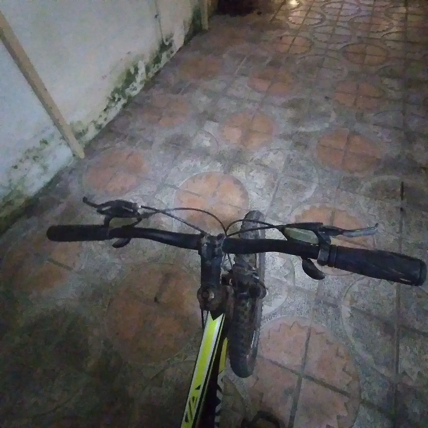 دوچرخه viva|دوچرخه، اسکیت، اسکوتر|بندر انزلی, باغ زمانی|دیوار